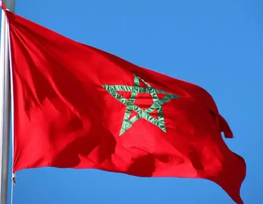 برلمانية تدعو لقانون يمنع إسقاط المقعد البرلماني بسبب الراية