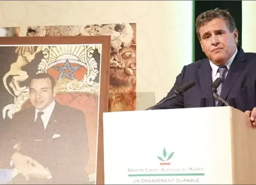 أخنوش: الصناعة الغذائية تدر على المغرب 14 مليار درهم سنويا