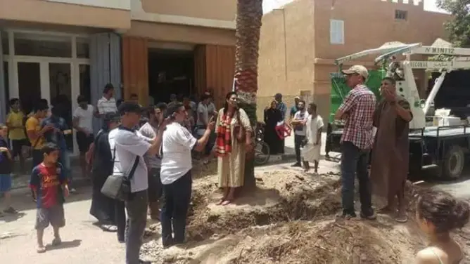 محامية بتارودانت تعتصم أمام نخلة لمنع اقتلاعها