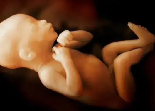 ولادة طفل من جنين كان تحت التجميد لمدة 15 عاما بالولايات المتحدة