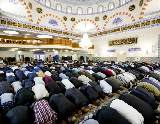 محكمة تأمر الحكومة الهولندية بتمويل مدرسة إسلامية جديدة
