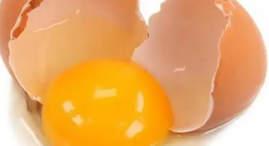 قلي البيض بأشعة الشمس الحارقة في دبي (فيديو)