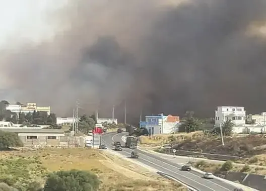 اتهامات لرجال الدرك الملكي برفض تلقي تبليغ عن حريق بغابة في طنجة