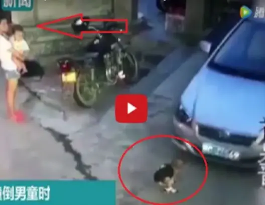 فيديو صادم لسيدة رفضت انقاذ طفل صغير دهسته سيارة وهي تنظر!