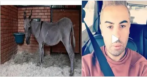 دوك صمد يدافع عن ممارسي الجنس مع الحمارة المسعورة