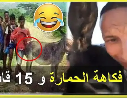 أول فيديو فكاهي حول قضية الحمارة و 15 قاصراً التي خلقت جدلاً واسعاً في المغرب