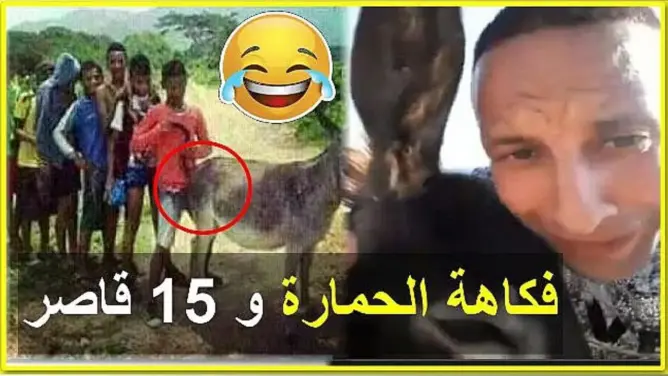 أول فيديو فكاهي حول قضية الحمارة و 15 قاصراً التي خلقت جدلاً واسعاً في المغرب