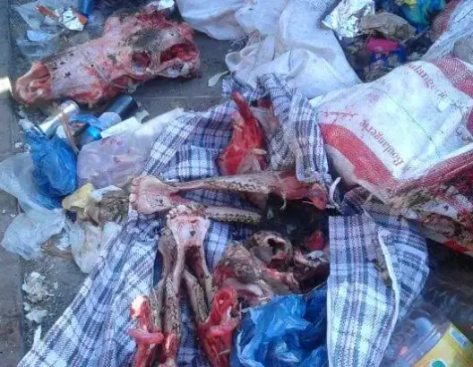 صادم.. اكتشاف بقايا حمير يشتبه بيع لحومها لأصحاب “السندويتشات” بالبيضاء
