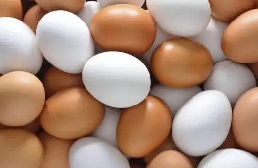إيطاليا تضبط 92 ألف بيضة ملوثة بمبيد حشري
