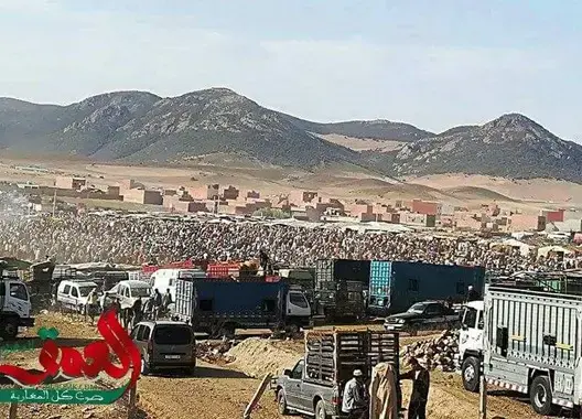بعد سنوات عجاف .. سوق الماشية بأجلموس يستعيد “مصداقيته”