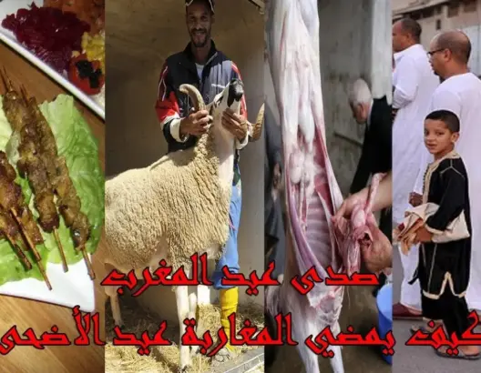 صدى عيد الأضحى بالمغرب على قناة الجزيرة