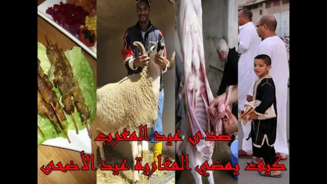صدى عيد الأضحى بالمغرب على قناة الجزيرة