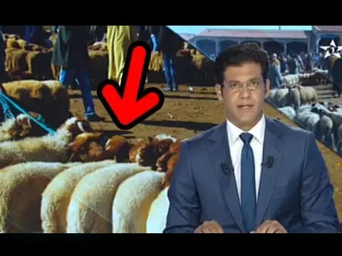 شاهد أجواء العيد في المغرب وتكلفتها على المواطن