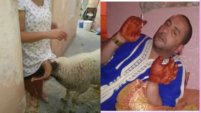 شاهد اطرف لقطات عيد الأضحى بالمغرب (صور)