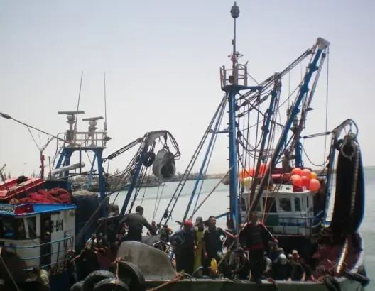 خارجية إسبانيا: حق الطعن في اتفاق الصيد مع المغرب مضمون للجميع
