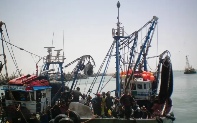 خارجية إسبانيا: حق الطعن في اتفاق الصيد مع المغرب مضمون للجميع