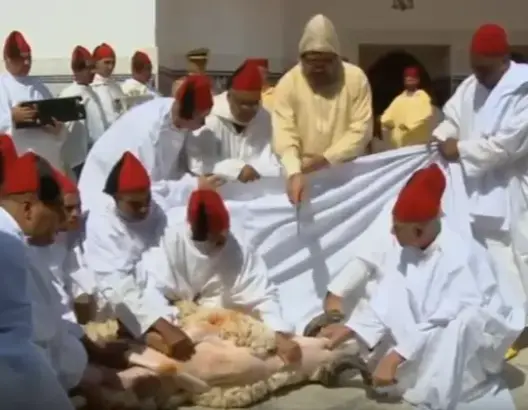 بالفيديو.. الملك محمد السادس يذبح أضحية العيد