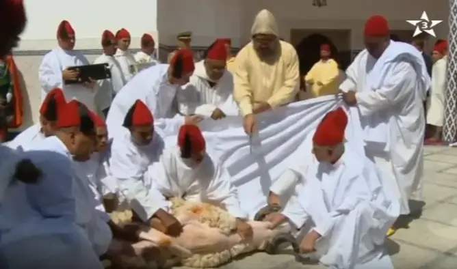 بالفيديو.. الملك محمد السادس يذبح أضحية العيد