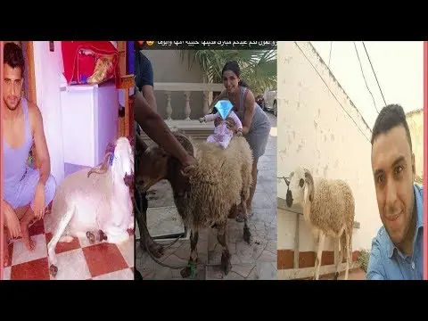 شاهد الفنانة المغاربة وسيلفي العيد