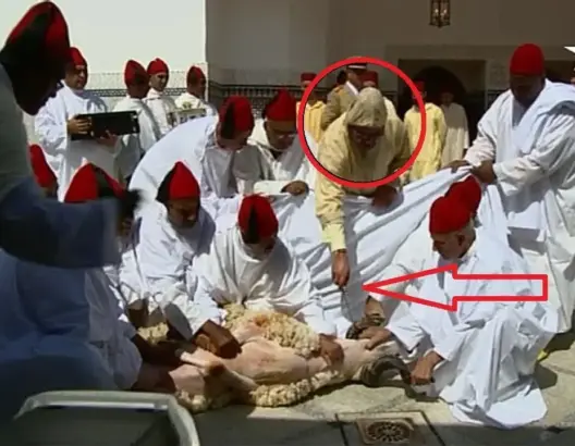 شاهد ما حدث لحظة نحر الملك محمد السادس لأضحيته!