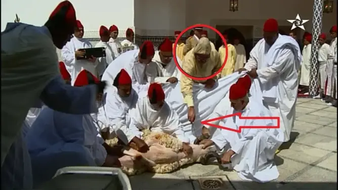 شاهد ما حدث لحظة نحر الملك محمد السادس لأضحيته!