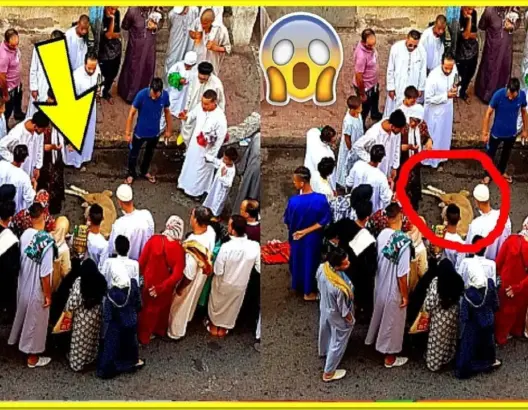 خروف هرب بعد الذبح وقفز من السطح .. شاهد ما حدث