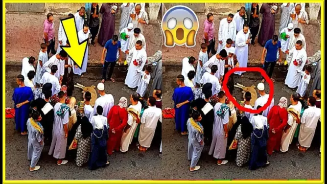 خروف هرب بعد الذبح وقفز من السطح .. شاهد ما حدث
