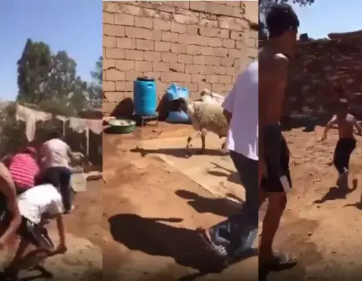 أخطر لقطة .. خروف لم يذبح جيدا ويقف على أقدامه ليهاجم الجميع