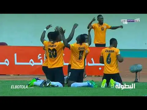 شاهد أهداف زامبيا 3-1 الجزائر