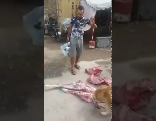 فيديو: شرا “الحاولي” العيد بـ2500 درهم وملي دبحو لقاه مريض