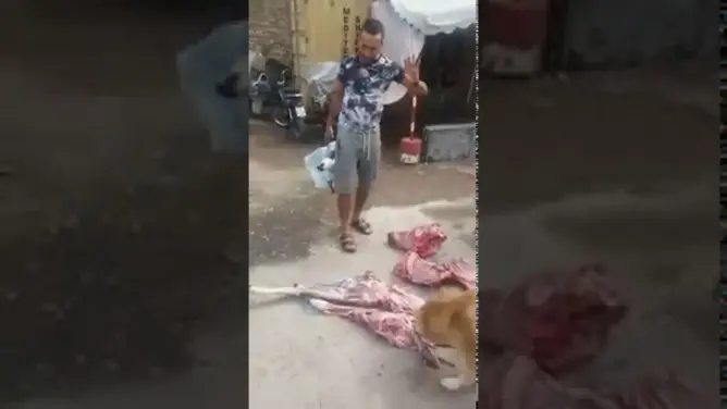فيديو: شرا “الحاولي” العيد بـ2500 درهم وملي دبحو لقاه مريض