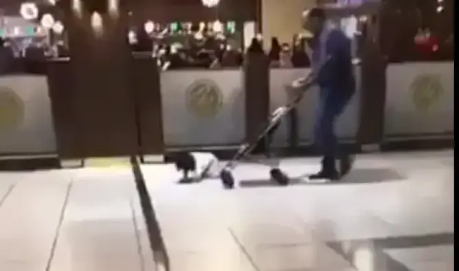رجل ينهال ضربا على طفله بالعربة في أحد المجمعات التجارية بالسعودية (فيديو)