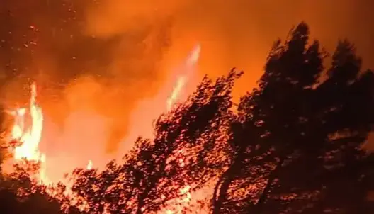 نشوب حريق بغابة الشجيرات شرق مدينة طنجة (فيديو)