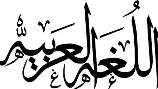 استعمال اللغة العربية وترشيح الأجانب لاستمالة الناخبين بالنرويج