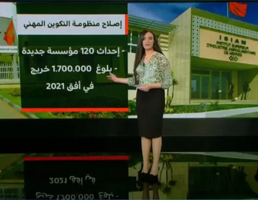 تفاصيل إصلاح منظومة التكوين المهني