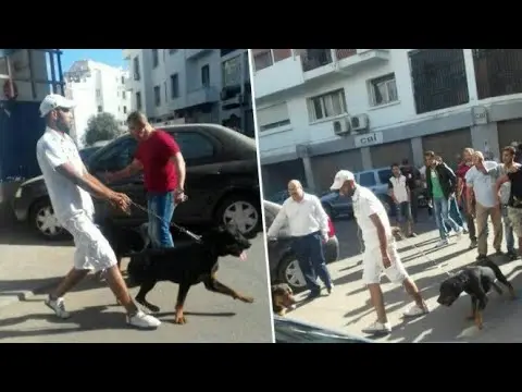 كلاب لتفريق مؤتمر لحزب الاستقلال تعرضت فيه منسقته بكازا ياسمينة بادو للاعتداء