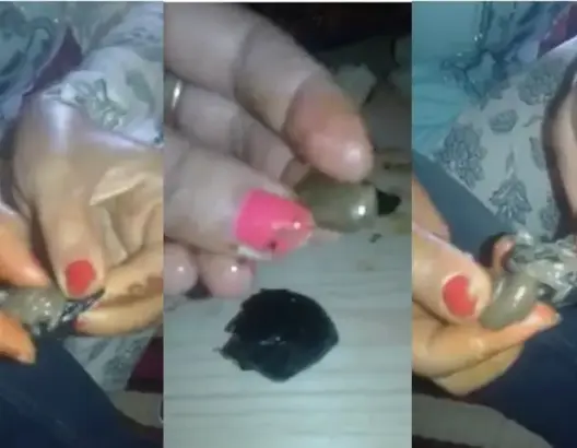 برقوق من بلاستيك وحجر على موائد مغاربة .. والخراطي: تقنية غريبة