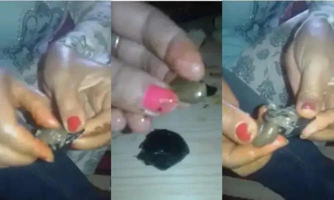 برقوق من بلاستيك وحجر على موائد مغاربة .. والخراطي: تقنية غريبة