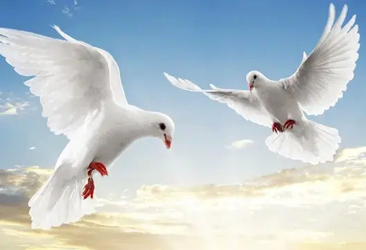 جمعية مغربية تطلق قافلة لـ “السلم والسلام” من مكناس نحو أديس أبابا