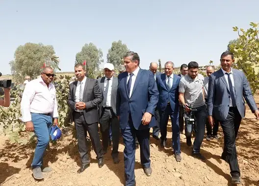 وزارة أخنوش تتوقع موسما فلاحيا جيدا بفضل أمطار الخير الأخيرة
