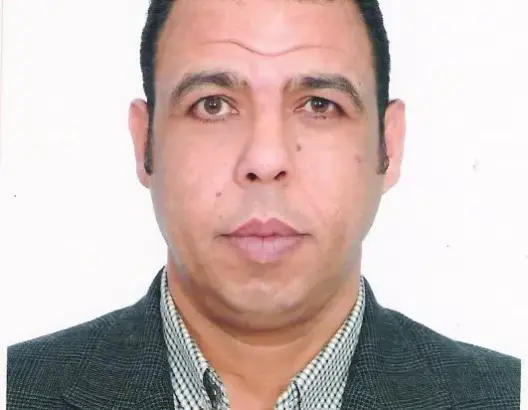 ولادة الأدب الدنمركي من النقوش الرونية