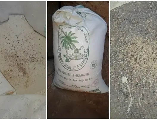 فضيحة: ديدان في دقيق مدعم بتنغير.. ومواطنون: هذا استهتار بصحتنا