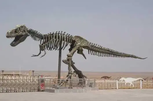 اكتشاف آثار ديناصورات بتونس تعود لـ140 مليون سنة