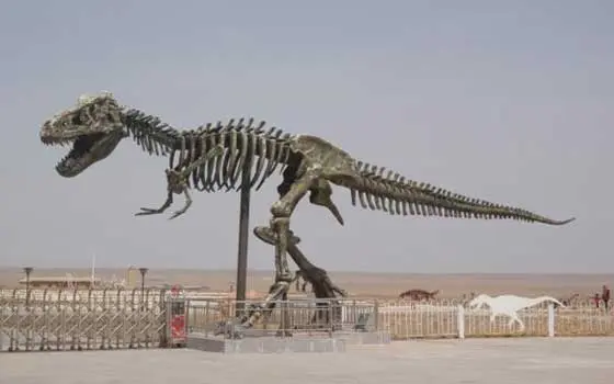 اكتشاف آثار ديناصورات بتونس تعود لـ140 مليون سنة