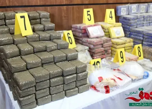 بينهم إسبانيين وكولومبيين.. محاكمة عصابة الكوكايين في هذا التاريخ