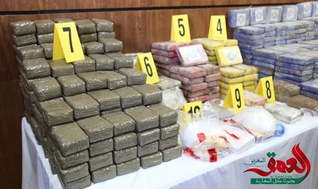 بينهم إسبانيين وكولومبيين.. محاكمة عصابة الكوكايين في هذا التاريخ