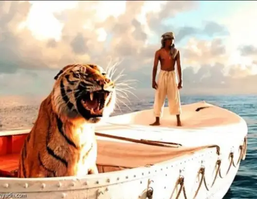الرباط تحتضن المهرجان الدولي لفيلم الحيوان والبيئة