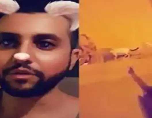 السجن لـ”سفاح القطط” السعودي