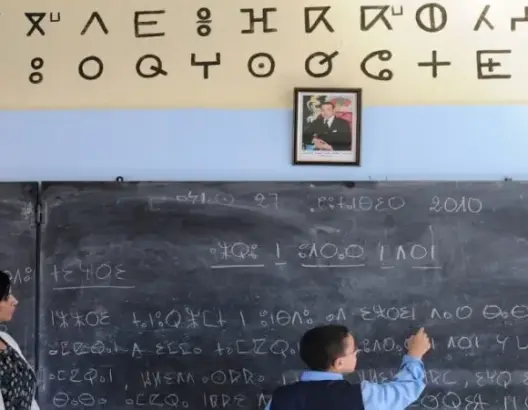 “أزطا أمازيغ” ترصد “تراجعات ونواقص” في تدريس الأمازيغية