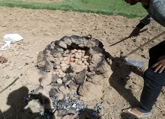 “تافوروت”.. أكلة الإحتفاء بمحصول البطاطس وسط جبال تنغير